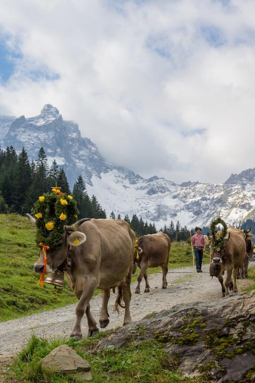 Ferienhäuser Tschofen Garfrescha Sankt Gallenkirch Exterior foto